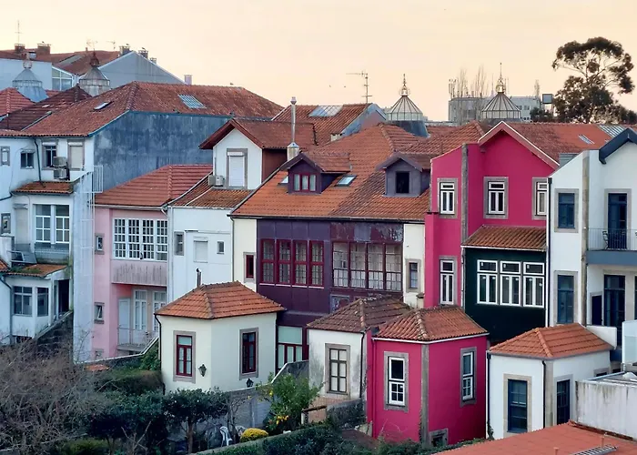 Le Chien Noir Centre Porto