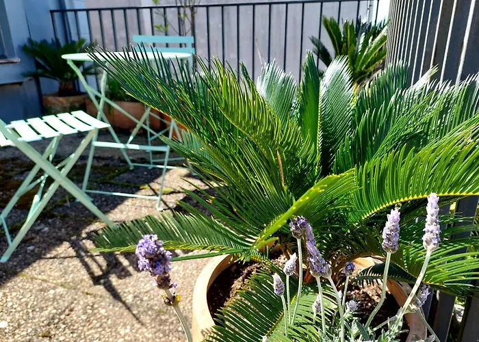 Le Chien Noir Centre * Porto