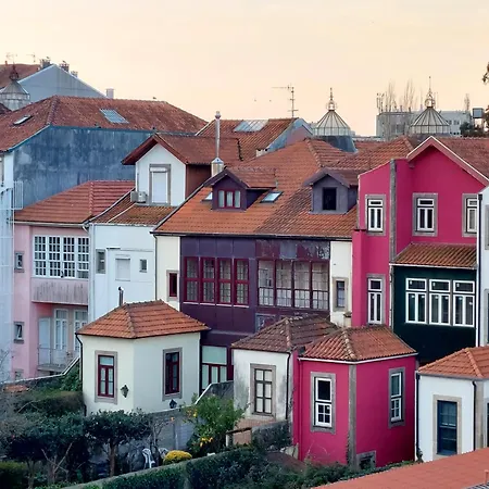 Le Chien Noir Centre Oporto